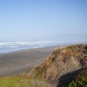 Meet your Posher, Shae